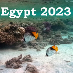 Egypt2023.mp4